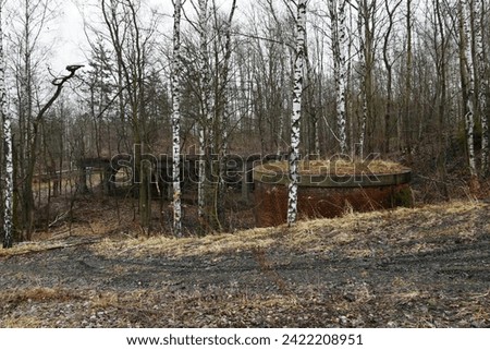 Abandoned industrial buildings overgrown with birch forest