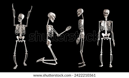 Human skeletons set isolated on black background