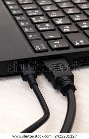 Connector for connecting a monitor to a laptop close up