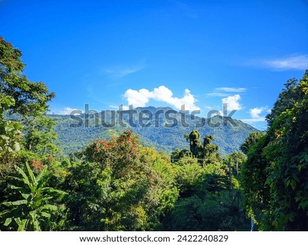Majestic view of beautiful lush green valley with trees and colorful grass against picturesque high Royalty-Free Stock Photo #2422240829