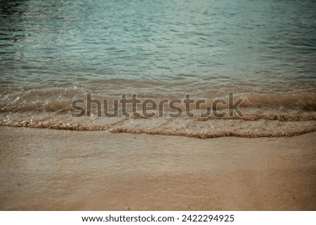 Sandy Paradise: Serene Beachscape, Beach Picture