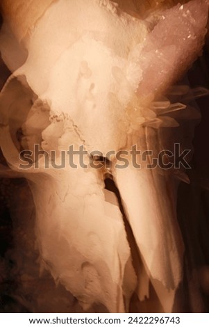 Animal skull moving at ya. The best quality ICM abstract art photography, for fine art prints and backgrounds.