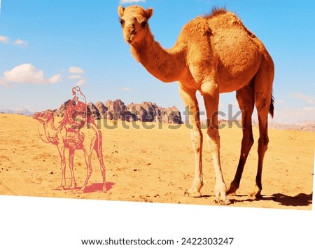 A Camel The Microscopic Defender of Health and Hygiene
