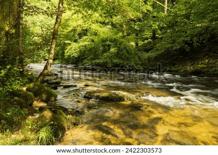 An image showing the River Barle in Somerset taken with a slow shutter speed to emphasize the motion of flowing water, shot in Somerset, England UK.