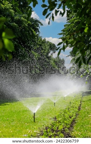 Public park sprinkler system watering the lawn, vertical picture