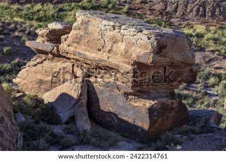 Newspaper rock, Petrified Forest National Park : AZ, USA Royalty-Free Stock Photo #2422314761