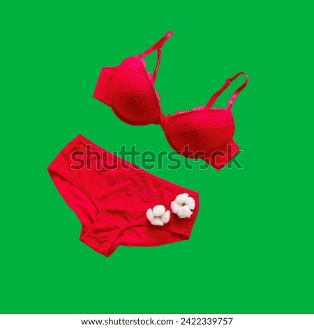 Elevate your design with girl's underwear greenscreen photos. Perfect for seamless integration into creative projects. High-quality collection.