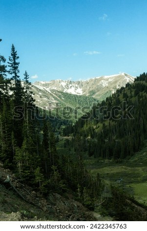 Colorad, Aspen, Mountains, Alpine, Driving, Summer