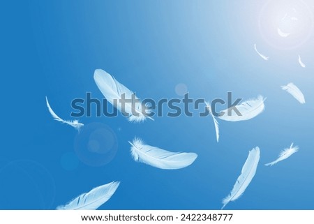 Abstract White Bird Feathers Floating in A Blue Sky. Softness of Feathers falling in Heavenly Concept.	
