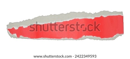 piece of white paper tear isolated on white background 