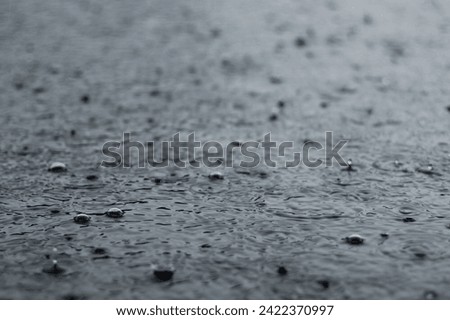 large drops of rain falling into puddles. a cloudy, rainy daylarge drops of rain falling into puddles. a cloudy, rainy day. soft focus, long shutter speed and blur effect