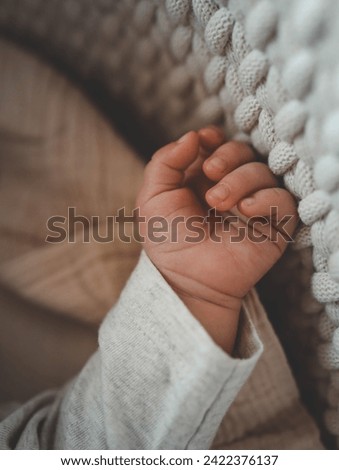 Hand of a newborn baby close-up, concept of happy motherhood.