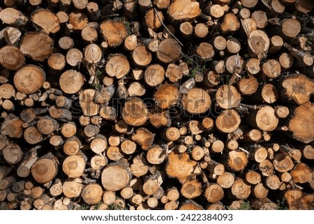 Detail of a wood pile. This photography makes a nice abstract picture.