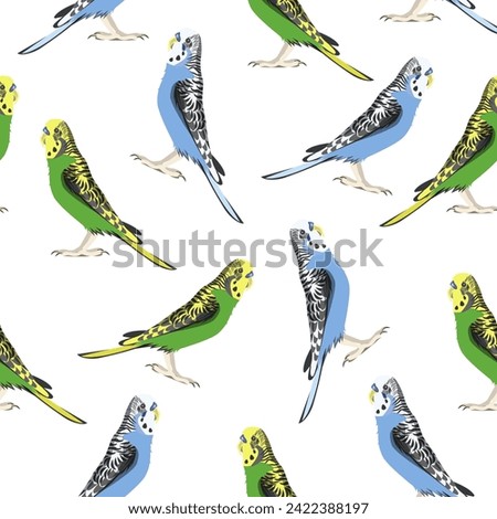 Seamless pattern budgies blue and green on a white background.Vector pattern for textiles,backgrounds,paper.