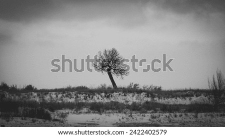 A black and white winter landscape photo of a lone tree that stands tall on a snowy hill overlooking a serene lake, the snowy ground covered with tufts of grass under a cloudy gloomy sky