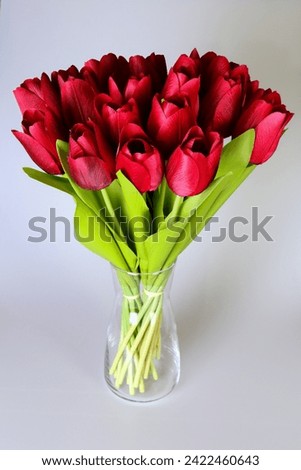 Red Tulips in Clear Glass Vase on White Background Royalty-Free Stock Photo #2422460643