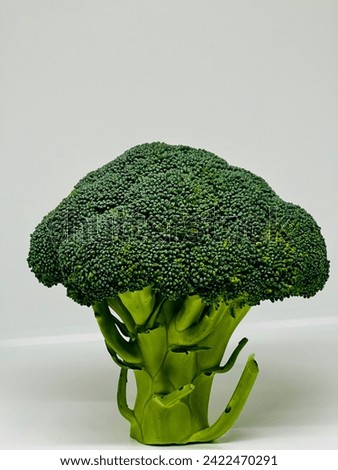 Broccoli , fresh broccoli, green broccoli