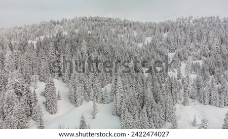 Winter landscape in the mountains. Forest in the snow. A snowy forest. Beautiful winter nature. Goderdzi ski resort in Georgia, Arsian Mountain Range. Winter snowy landscape. Georgia is in the winter 