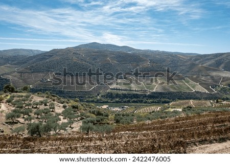 On the banks of the Douro River: Between mountains, vineyards and olive groves, the serenity of the small village of Foz Tua in the background in Trás-os-Montes, Portugal