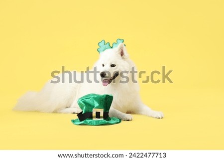 Cute Samoyed dog with leprechaun's hat and novelty headband on yellow background. St. Patrick's Day celebration