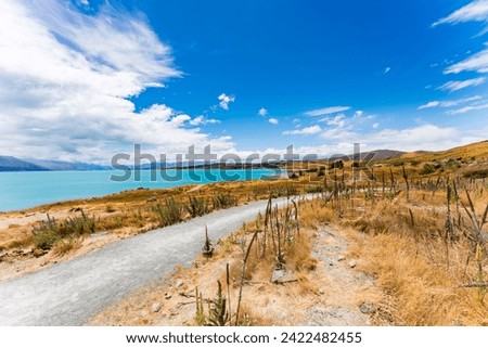 beautiful road in lake pukaki 