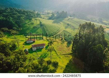 Rural area with fields and mountains with soft sunlight in Santa Catarina, Brazil