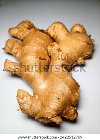 Ginger, herbaceous perennial Plant of the family Zingiberaceae, probably native to southeastern Asia or or its pungent aromatic rhizome (underground stem) used as a spice, flavoring, food and medicine