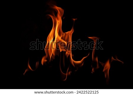 Texture of fire on black background. Abstract fire flame background. Large burning fire. Blaze fire flame texture background