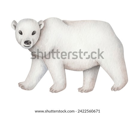 Watercolor illustration. Hand painted polar bear. Arctic North Pole animal. Mammal predator animal. White bear. Isolated cartoon clip art for banners, posters