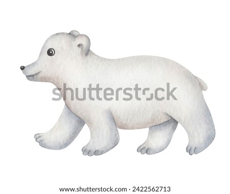 Watercolor illustration. Hand painted polar bear. Cub, baby animal. Arctic North Pole animal. Mammal predator animal. White bear. Isolated cartoon clip art for banners, posters