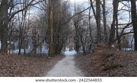 From autumn into winter. Budapest, 2024 Royalty-Free Stock Photo #2422564833