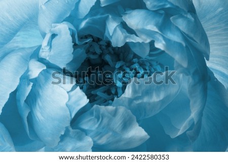 Beautiful turquoise peony as background, closeup view