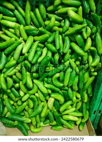 Bunch of fresh green Ivy Gourd(Tindli,Tindora,Kundaru) kept ready for sale on the vegetable market, on a basket, top view, selective focus, hd hi-res jpg stock image photo close-up with details
