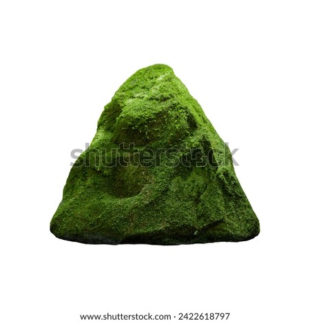 A deep green forest rocky stone covered by a thick moss and tiny plants isolated on white background Royalty-Free Stock Photo #2422618797