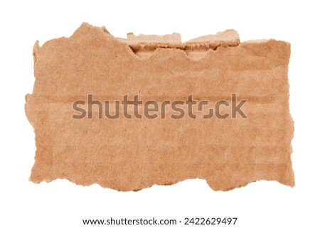 Piece of torn cardboard on a white background. Torn cardboard isolate