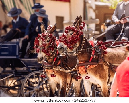 Adorned horses at Seville’s April Fair, showcasing vibrant decorations, embodying the event’s lively and colorful atmosphere. Royalty-Free Stock Photo #2422637797