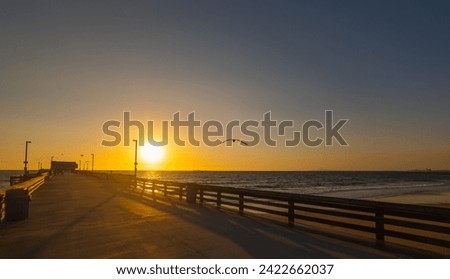 Seagull silhouette over a wooden pier in Los Angeles at sunset