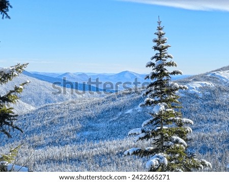 A snowy and winter landscape of the White Mountains of New Hampshire from the side of Mt. Washington looking south at the other 4000 footers. Pine trees and snow covered ridge fill the landscape view. Royalty-Free Stock Photo #2422665271