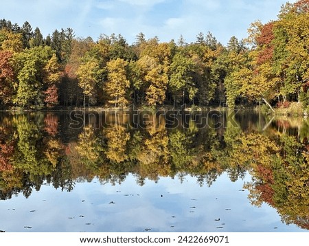 Autumn mood, picture in the water