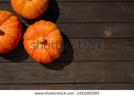 Close up, top view of pumpkin on wooden surface. Copy space