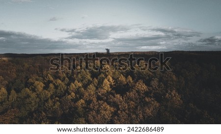 Landscape picture of a colorful forest in Austria with a observation tower in the center during autumn