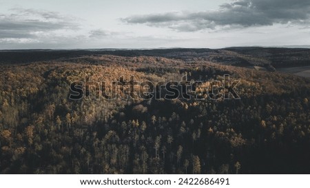 Drone picture of a colorful forest in Austria during autumn