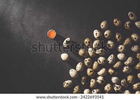Quail eggs on black rustic background. Directly above table top shot.