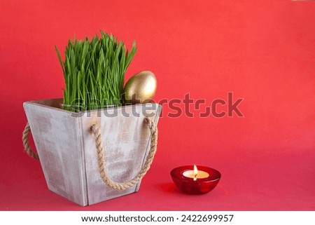 Prophetic sprouts of wheat to celebrate Navruz. The holiday of the spring equinox.