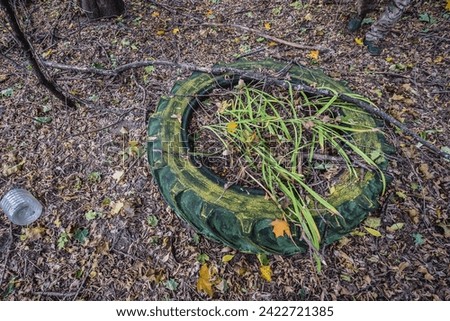 Old tyre in Illinci abandoned village in Chernobyl Exclusion Zone, Ukraine Royalty-Free Stock Photo #2422721385