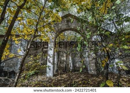 Old building in Illinci abandoned village in Chernobyl Exclusion Zone, Ukraine Royalty-Free Stock Photo #2422721401