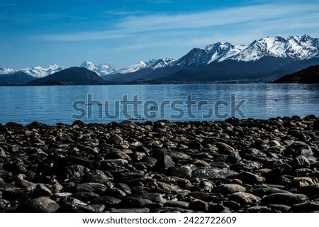 Seagull over Beagle Channel with mountain range in the background