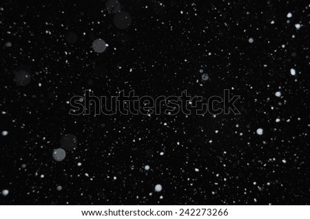 Snowflakes on winter sky. Snow storm abstract background blur. Royalty-Free Stock Photo #242273266