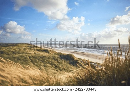 Overlooking dunes at danish coastline. High quality photo Royalty-Free Stock Photo #2422733443