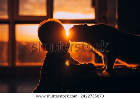 silhouette of a small child and a kitten